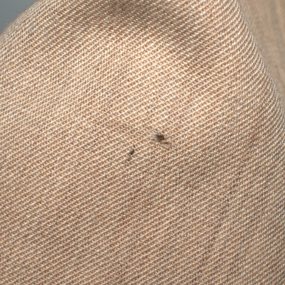 Pendleton Blazer Womens 14 Tan Neutral 100%  Wool 2 Button Jacket Light Academia - Picture 8 of 8